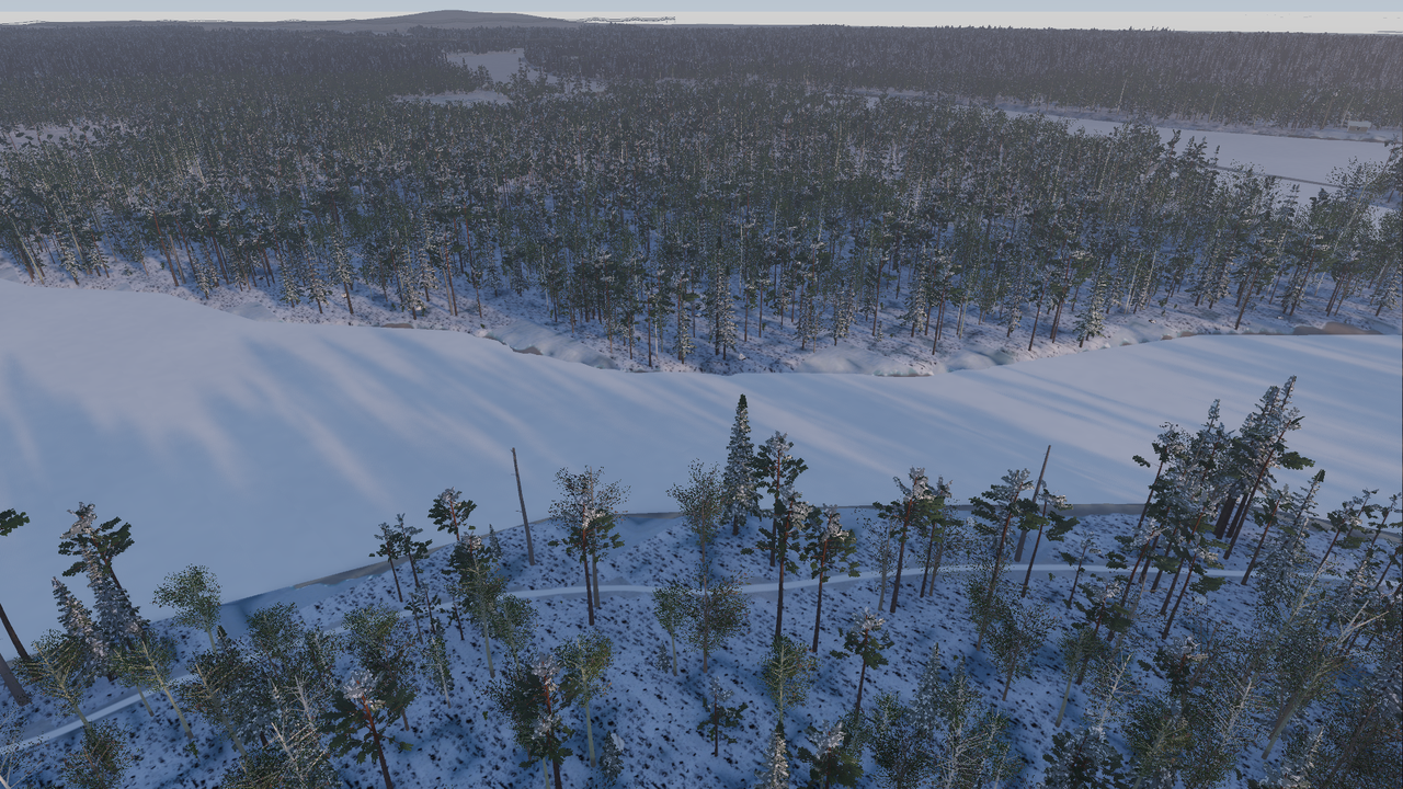 Winter: snow, ice and leafless birches.